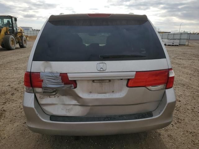 2008 Honda Odyssey EXL