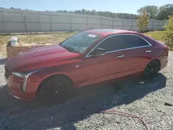 Cadillac ct4 Vehiculos salvage en venta: 2024 Cadillac CT4 Premium Luxury