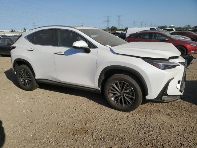 2025 Lexus NX 350 Base