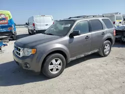 Salvage cars for sale at Indianapolis, IN auction: 2011 Ford Escape XLT