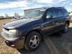 2007 Chevrolet Trailblazer LS