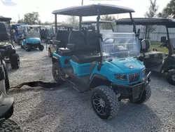 Salvage trucks for sale at Arcadia, FL auction: 2024 Aspt Golf Cart