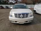 2007 Cadillac Escalade Luxury