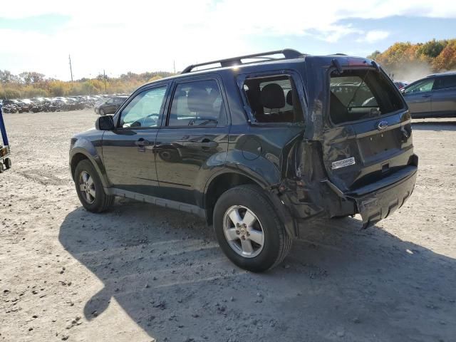 2010 Ford Escape XLT