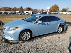 Salvage cars for sale at Hillsborough, NJ auction: 2014 Lexus ES 350