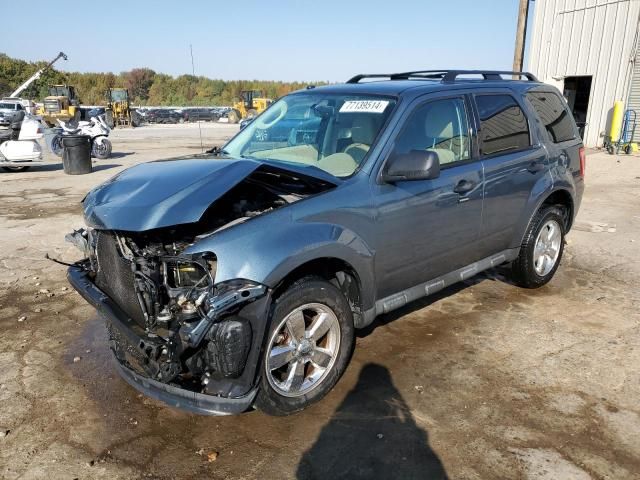 2012 Ford Escape XLT