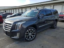 2017 Cadillac Escalade ESV Premium Luxury en venta en Louisville, KY