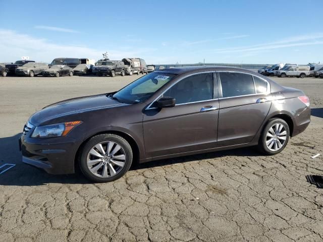 2011 Honda Accord EXL