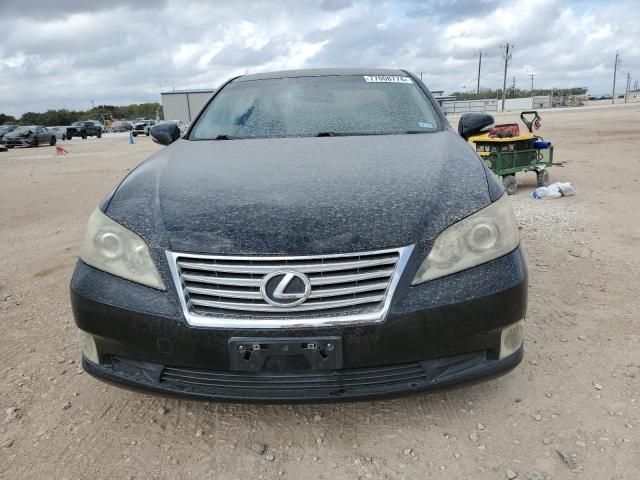 2010 Lexus ES 350