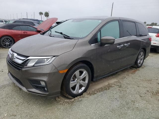 2019 Honda Odyssey EXL