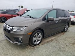 Honda Vehiculos salvage en venta: 2019 Honda Odyssey EXL