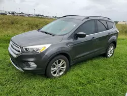 Salvage cars for sale at Riverview, FL auction: 2017 Ford Escape SE