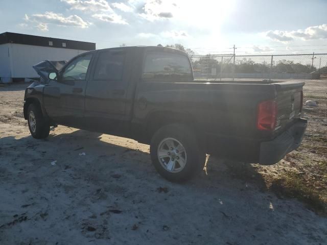 2008 Dodge Dakota SXT