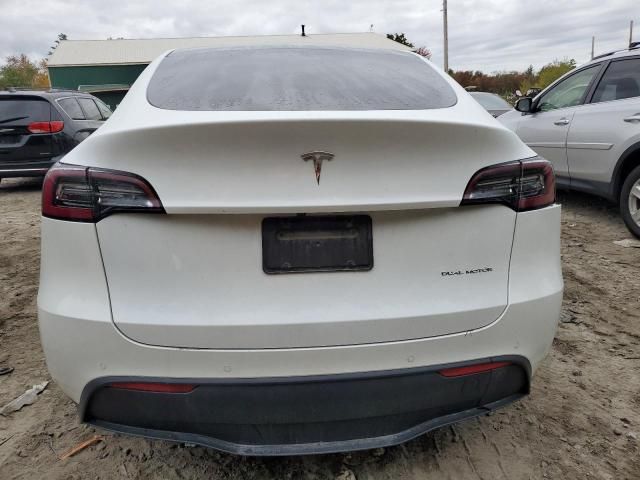 2020 Tesla Model Y