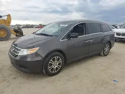 2012 Honda Odyssey EXL en venta en Arcadia, FL