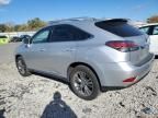 2013 Lexus RX 450H