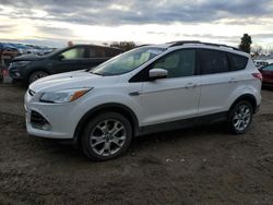 Salvage cars for sale at Davison, MI auction: 2013 Ford Escape SEL