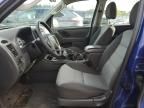 2005 Ford Escape XLS