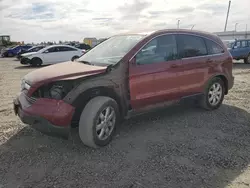 2007 Honda CR-V EXL en venta en Sacramento, CA