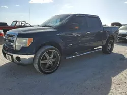 Salvage cars for sale from Copart Arcadia, FL: 2013 Ford F150 Supercrew