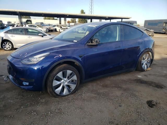 2020 Tesla Model Y