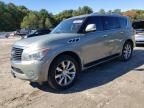 2011 Infiniti QX56