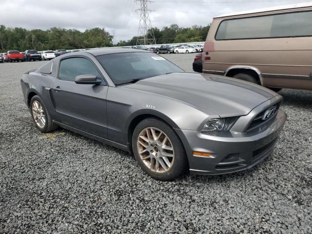 2013 Ford Mustang