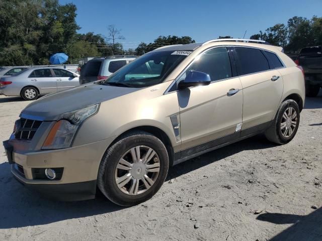 2011 Cadillac SRX Luxury Collection