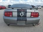 2009 Ford Mustang GT