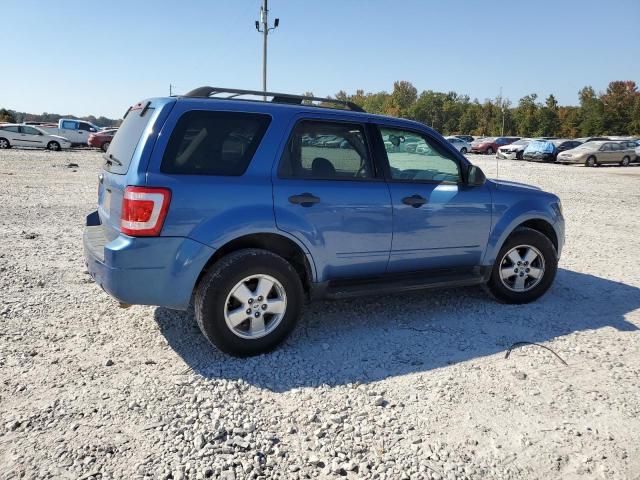 2009 Ford Escape XLT