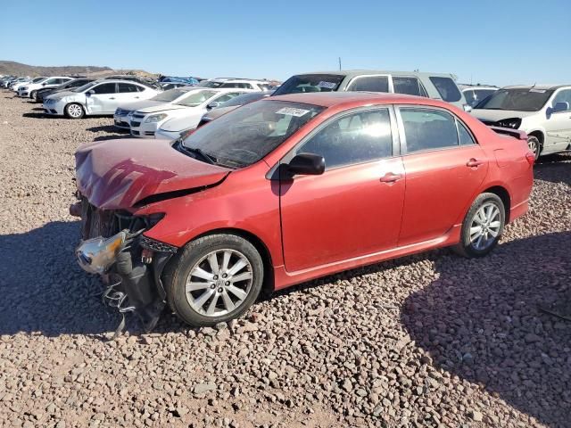 2010 Toyota Corolla Base