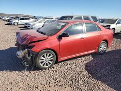 Toyota salvage cars for sale: 2010 Toyota Corolla Base