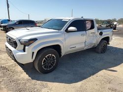 Salvage cars for sale at Theodore, AL auction: 2024 Toyota Tacoma Double Cab