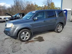 Honda salvage cars for sale: 2013 Honda Pilot EXL