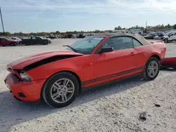 Salvage cars for sale at Lawrenceburg, KY auction: 2011 Ford Mustang