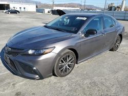 Toyota Camry salvage cars for sale: 2021 Toyota Camry SE