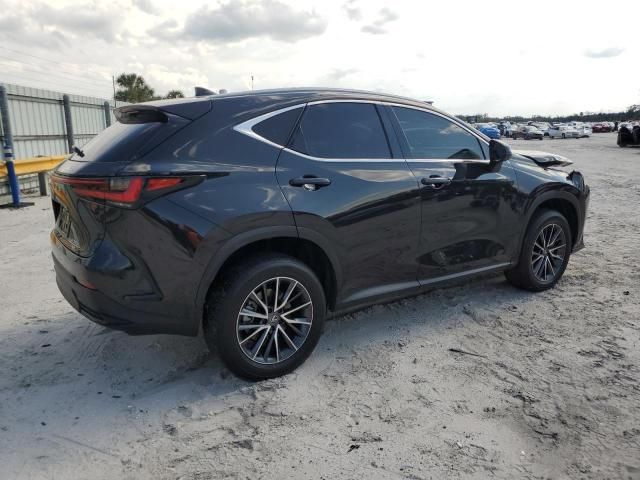 2024 Lexus NX 350H Base