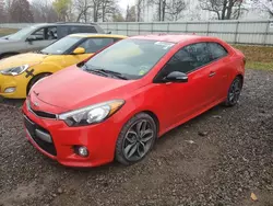 Salvage cars for sale at Central Square, NY auction: 2014 KIA Forte SX