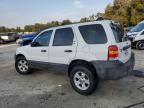 2006 Ford Escape XLT