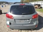 2007 Hyundai Santa FE SE