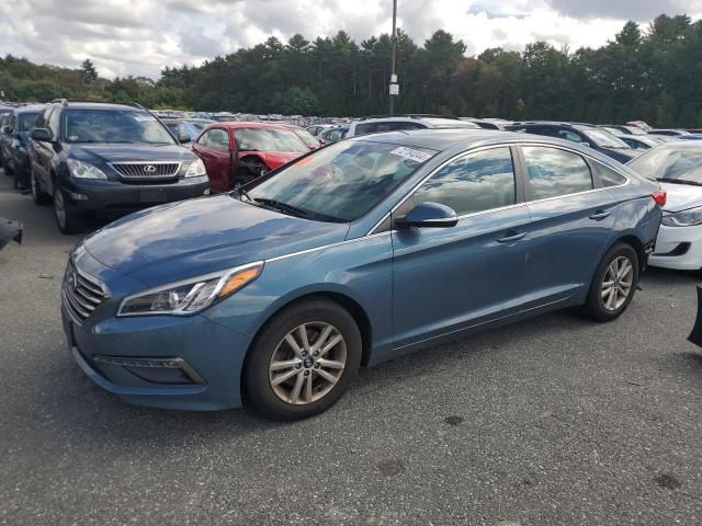 2016 Hyundai Sonata ECO