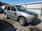 2006 Ford Escape XLT