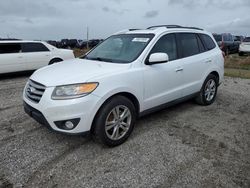 Salvage cars for sale at Arcadia, FL auction: 2012 Hyundai Santa FE Limited