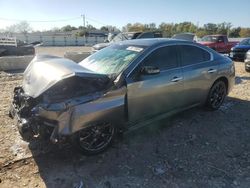 Salvage cars for sale at Louisville, KY auction: 2014 Nissan Maxima S