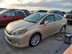 Lexus hs salvage cars for sale: 2010 Lexus HS 250H