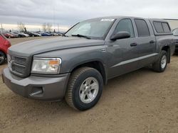 Dodge salvage cars for sale: 2010 Dodge Dakota SXT