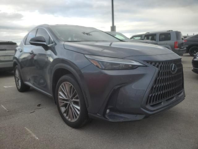 2022 Lexus NX 350