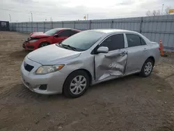 Salvage cars for sale at Greenwood, NE auction: 2010 Toyota Corolla Base