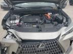 2025 Lexus NX 350H Base