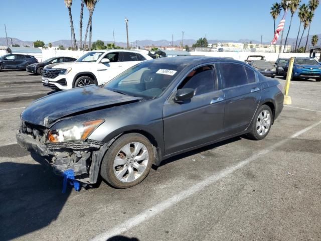 2008 Honda Accord EXL